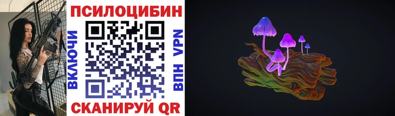 shop формула  Кувшиново  Псилоцибиновые грибы прущие грибы 
